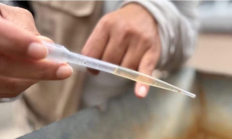 Coordenador alerta para baixa procura de grupo prioritário pela vacina contra dengue em Sinop (6)