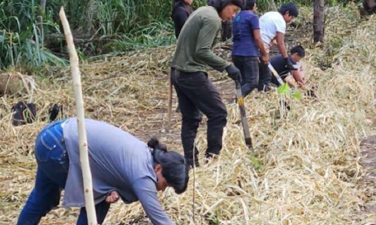 Coordenador alerta para baixa procura de grupo prioritário pela vacina contra dengue em Sinop (7)