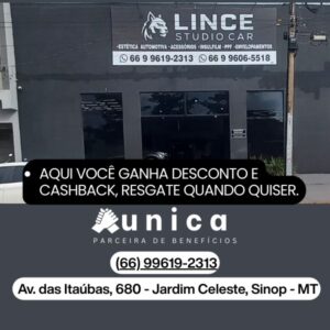 Lince Studio Car JD Celeste