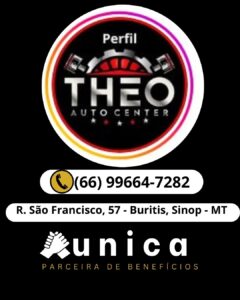 Theo auto Center Buritis
