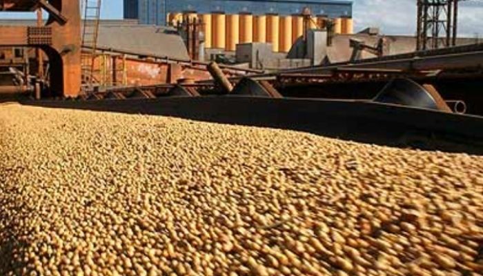 Sinop se destacou mais uma vez no cenário econômico estadual