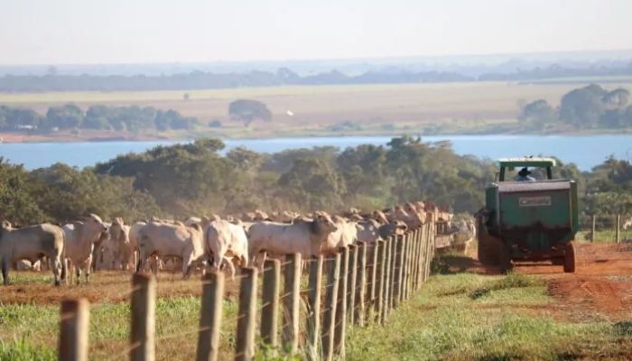 tendecias do agro negoçio