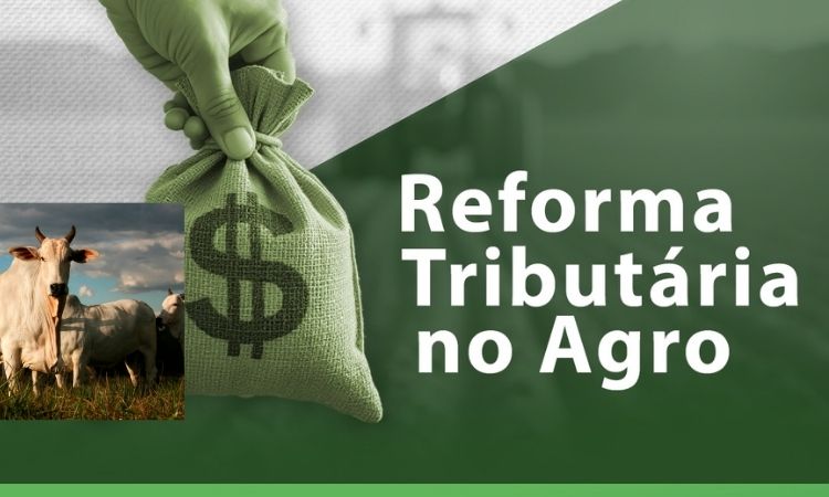 Especialista orienta produtores sobre adequação fiscal e alerta para impactos da Reforma Tributária no campo
