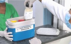 Coordenador alerta para baixa procura de grupo prioritário pela vacina contra dengue em Sinop (4)