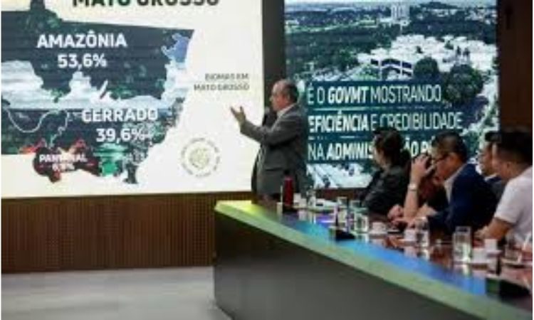Design sem nome (26)