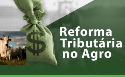 Especialista orienta produtores sobre adequação fiscal e alerta para impactos da Reforma Tributária no campo