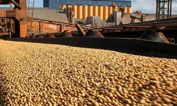 Sinop se destacou mais uma vez no cenário econômico estadual