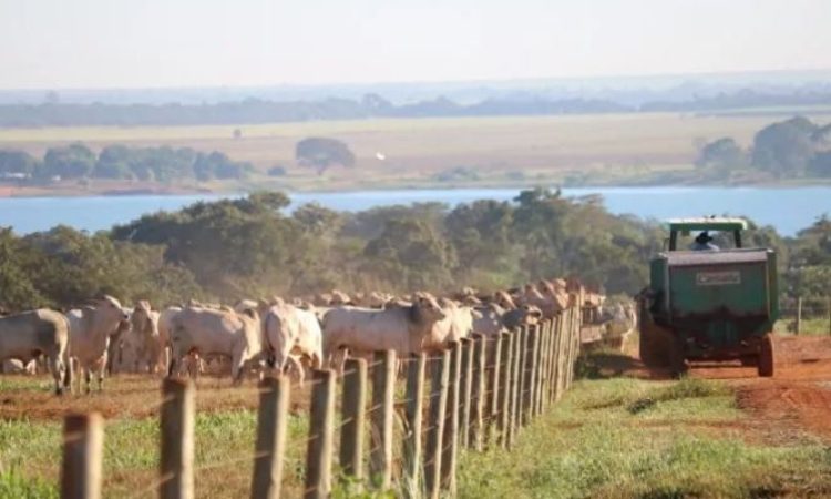 tendecias do agro negoçio